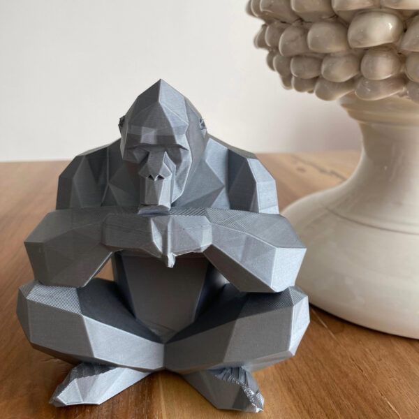 Gorilla Pensatore - immagine 1